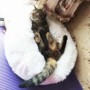 Cama para Cão e Gato de Pelúcia Macia Redonda a Melhor Caminha Confortável para Pets