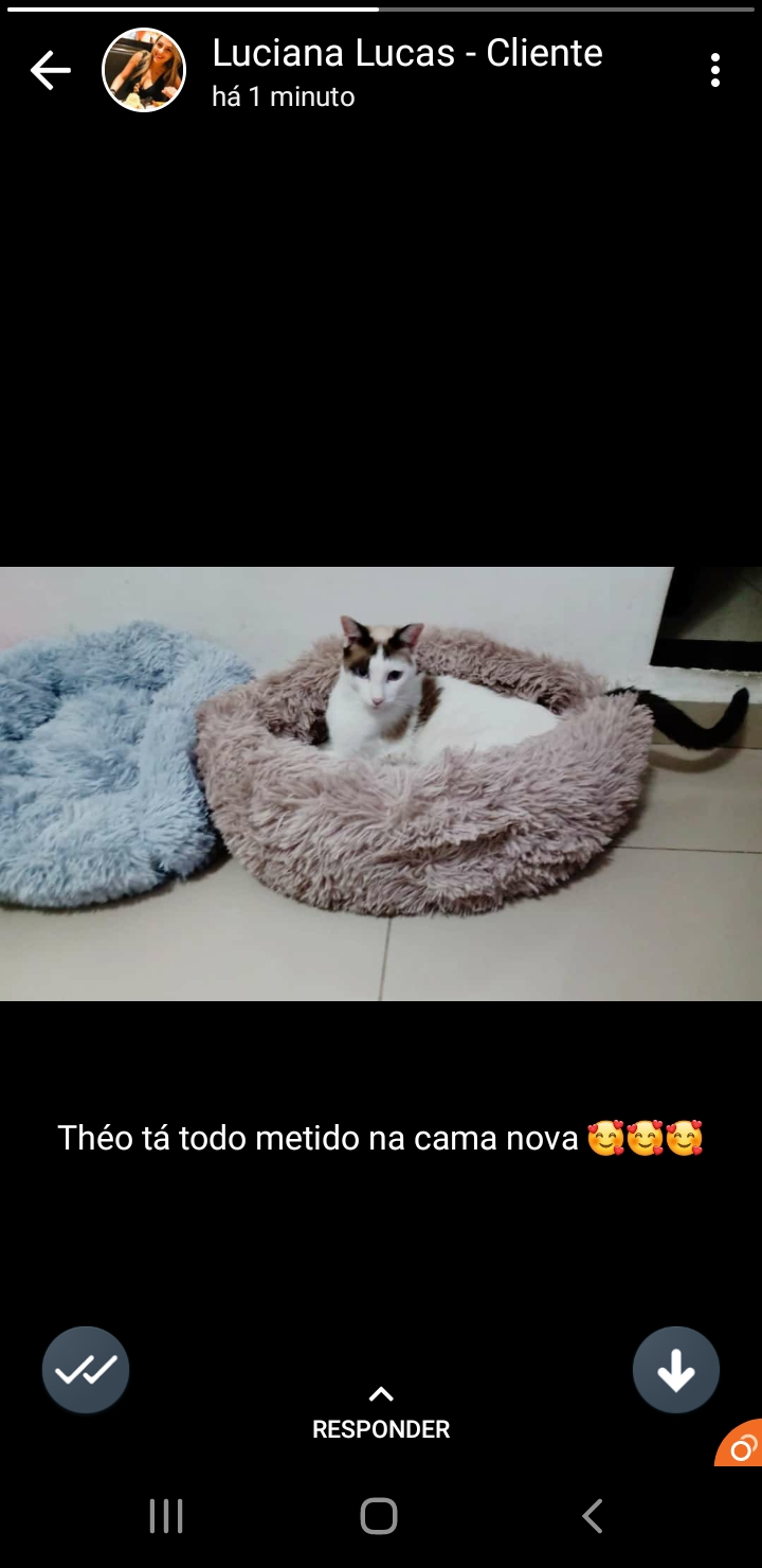 Screenshot_20200706-210136_WhatsApp.jpg